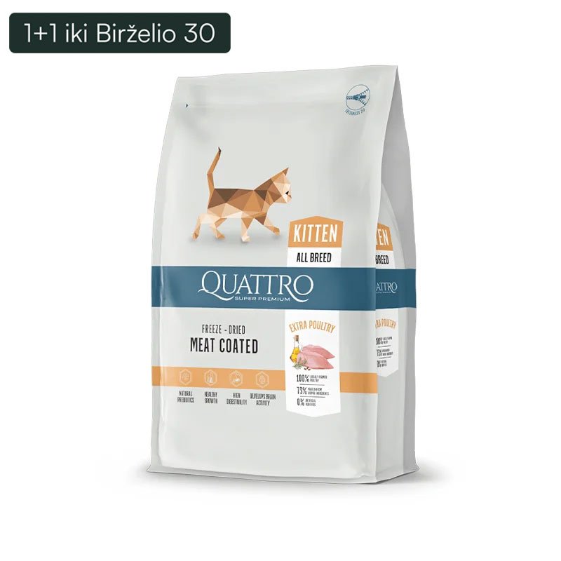 Quattro Kitten sausas maistas kačiukams 1.5 kg