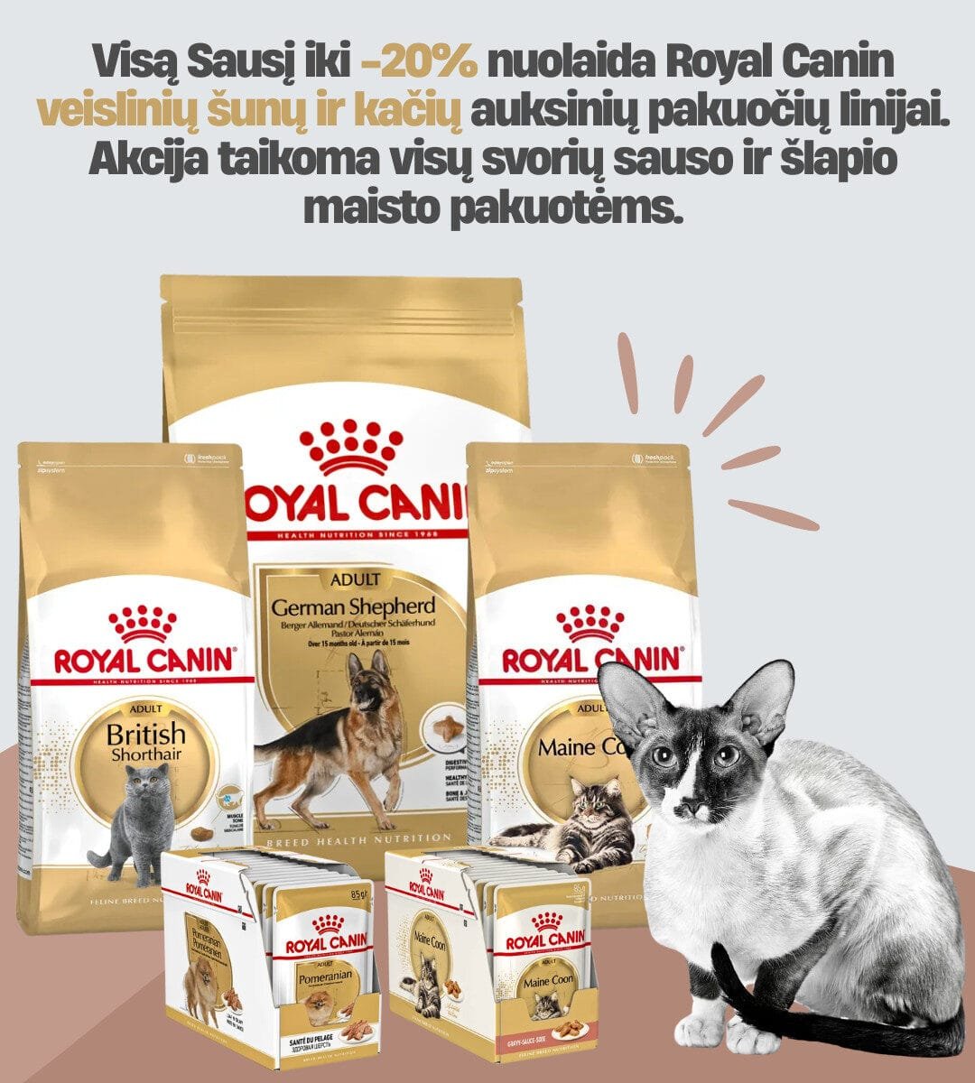 Mobile Royalis Sausio baneris