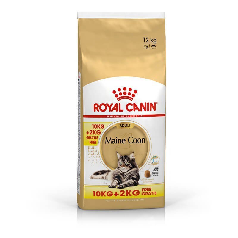 Royal Canin Maine Coon Adult kasside kuivtoit