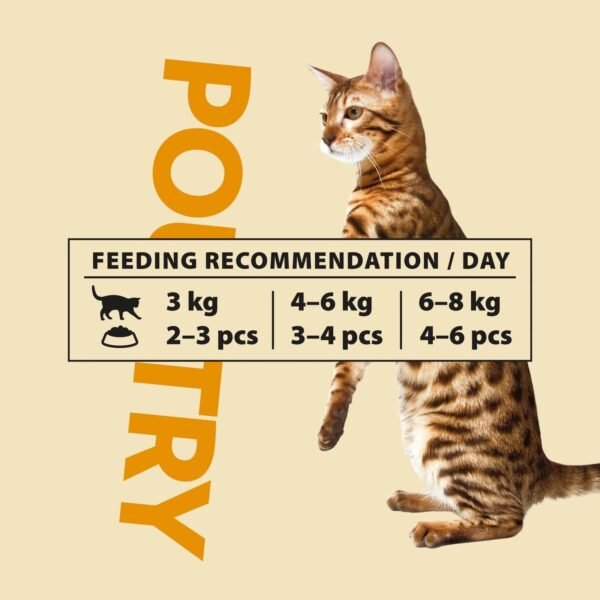 PrimaCat Classic Poultry Jelly konservai katėms drebučiuose - Kačiukas