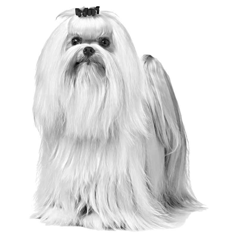 Maltese logo