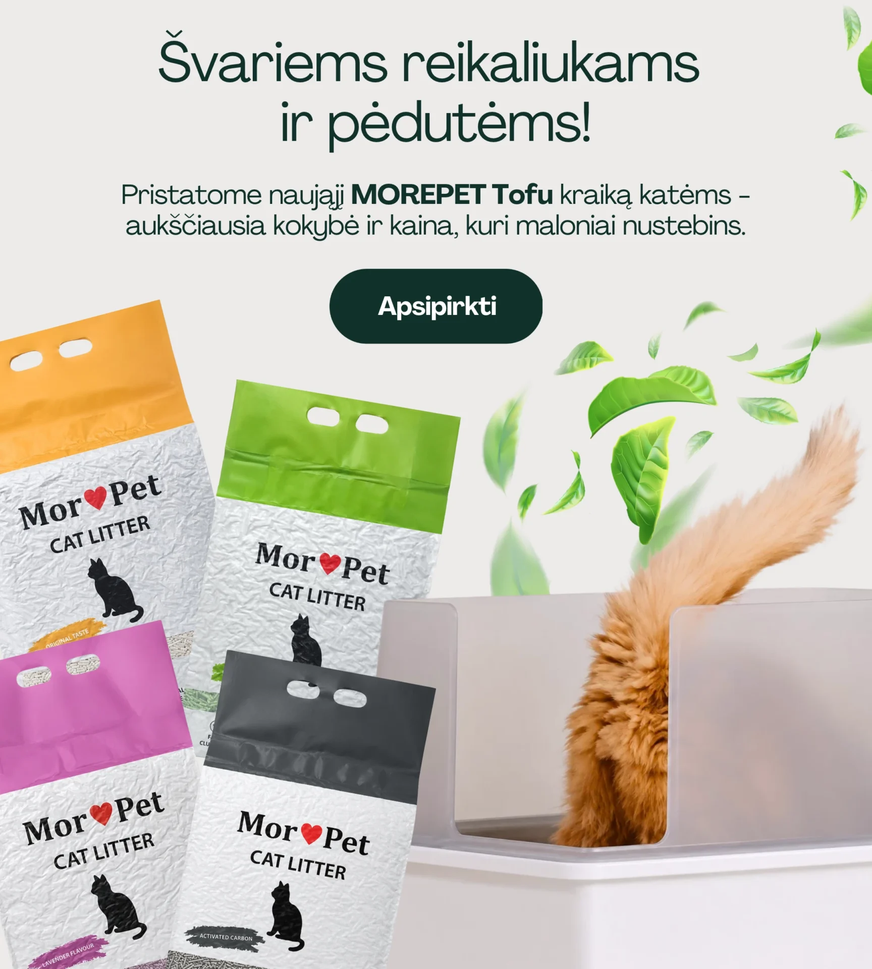 MorePet Tofu Mobile banner