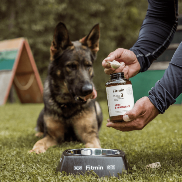 Fitmin Purity Sport & Regenration maisto papildas šunims 240 g