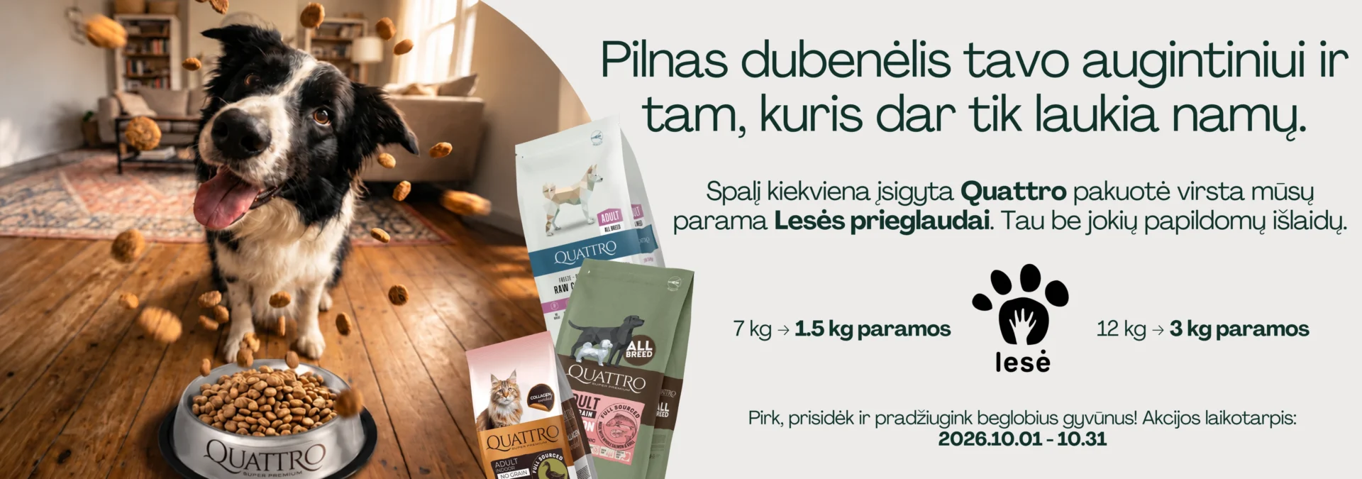 Quattro x Lesė Desktop banner
