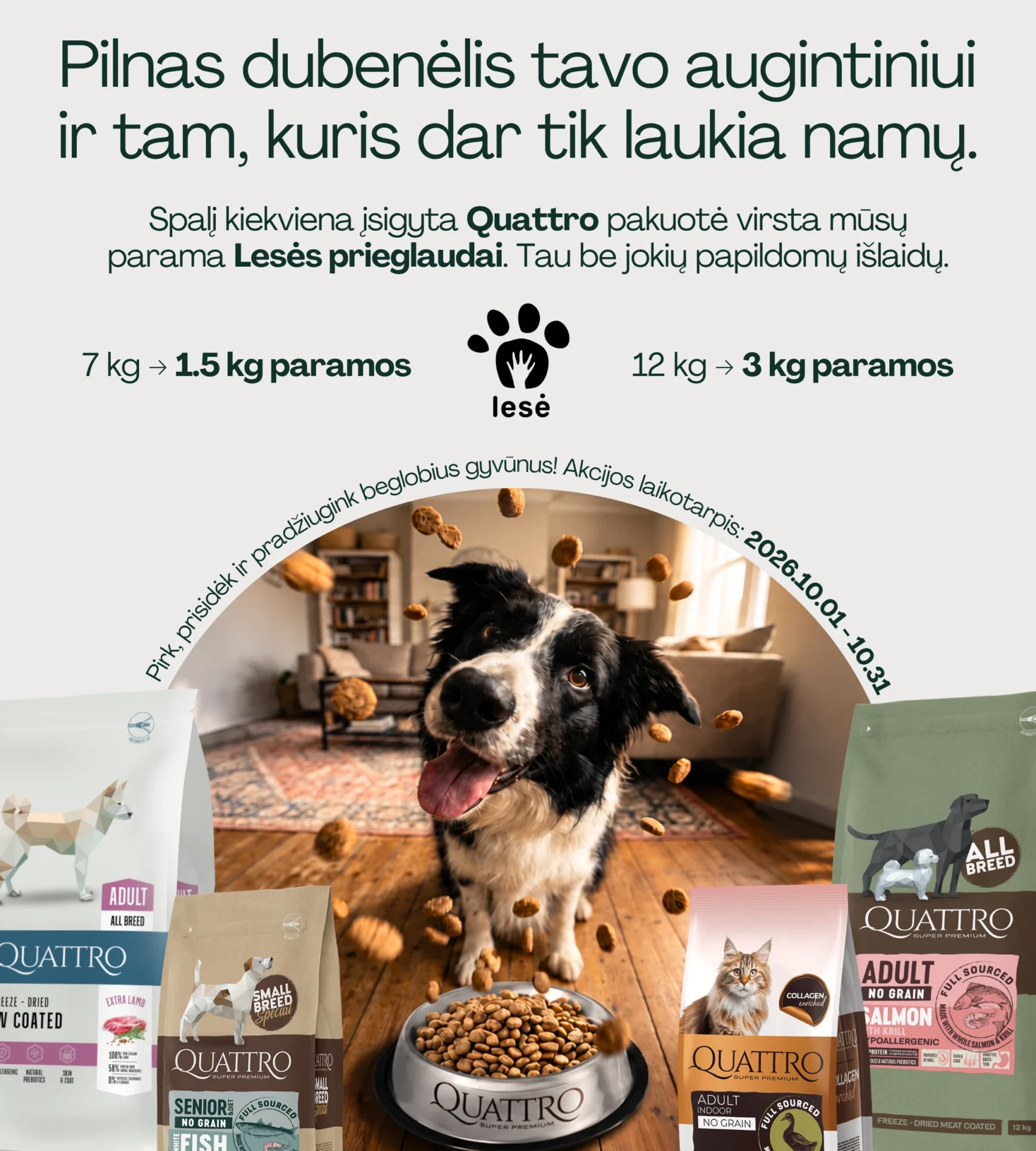 Quattro x Lesė Mobile banner