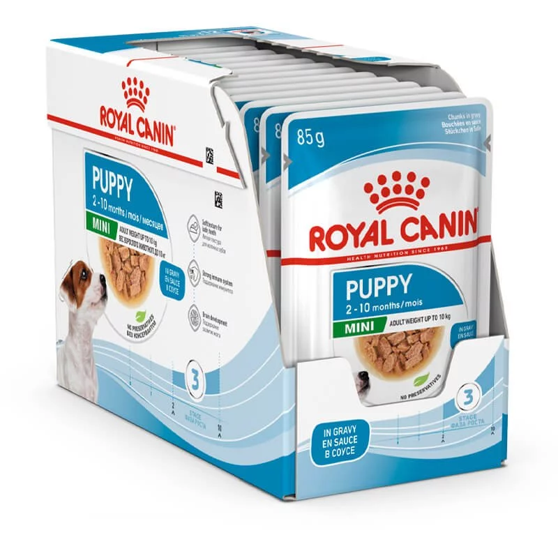 rc-shn-wet-minipuppy-lentele
