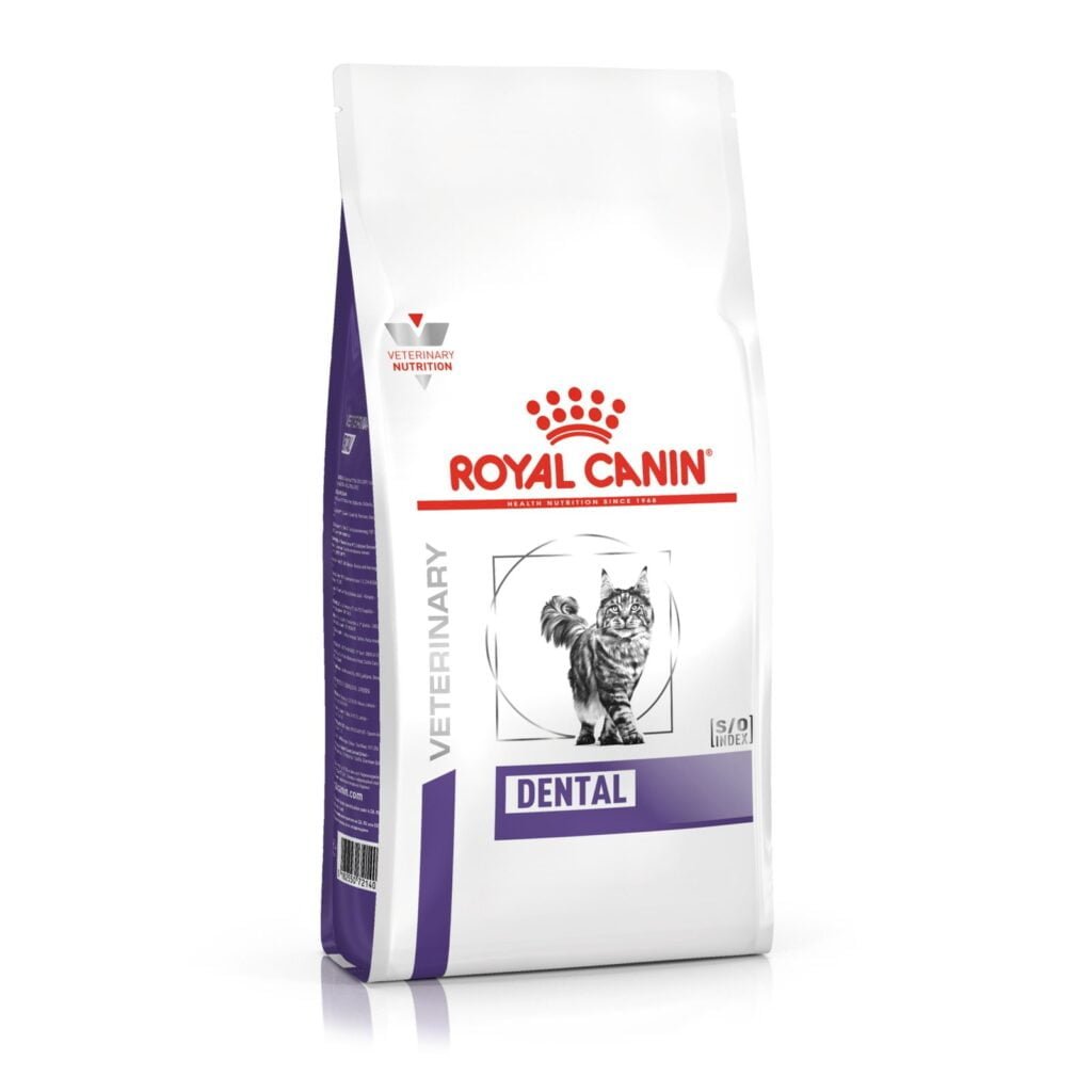 Royal Canin Dental sausas maistas katėms 1.5 kg
