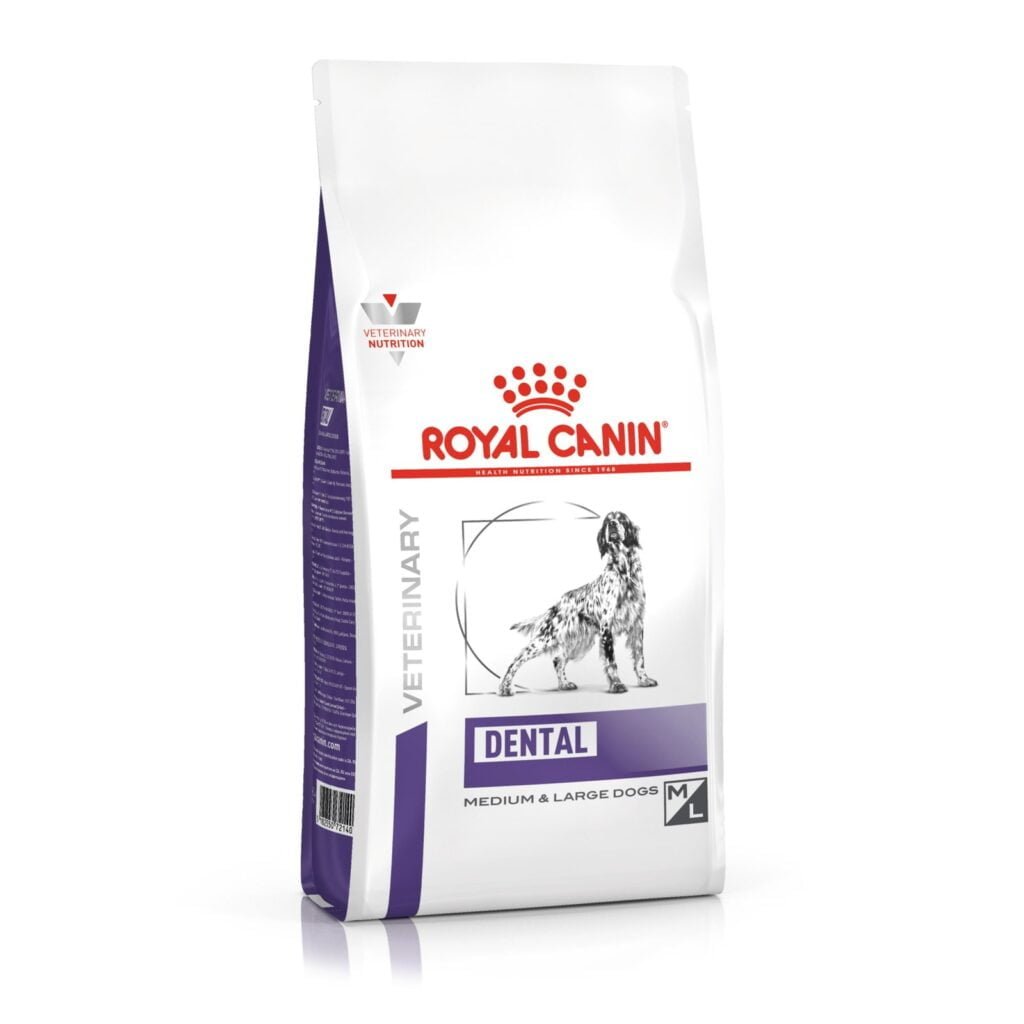 Royal Canin Dental Medium & Large Dog sausas maistas šunims 6 kg