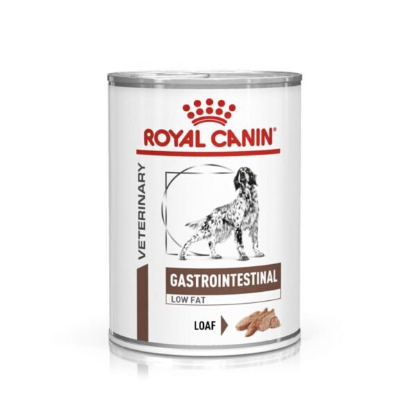 Royal Canin Gastrointestinal Low Fat paštetas šunims