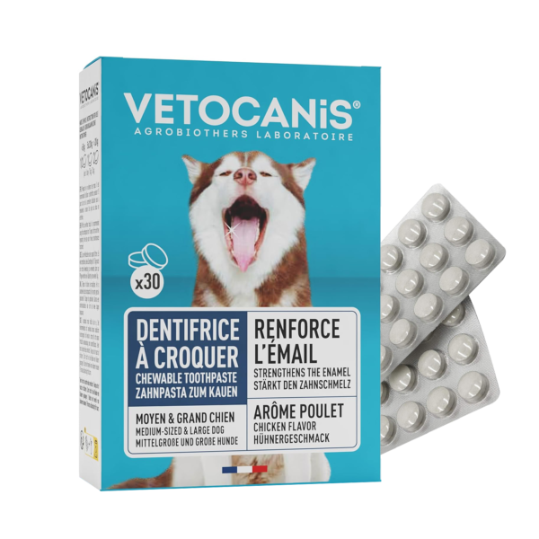 Vetocanis kramtomoji dantų pasta šunims N30