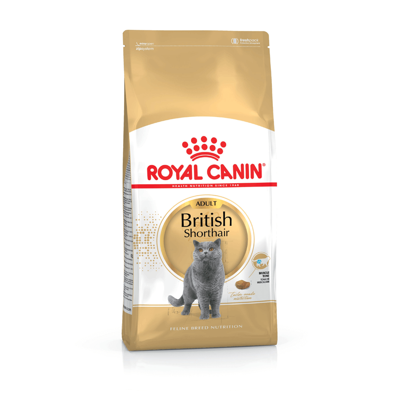 Royal Canin British Shorthair Adult sausas maistas katėms