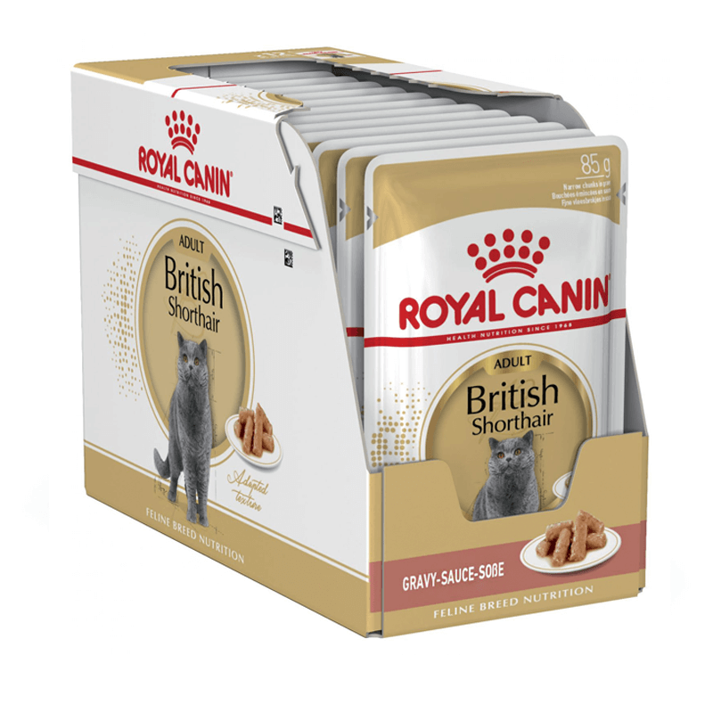 Royal Canin British Shorthair konservai padaže