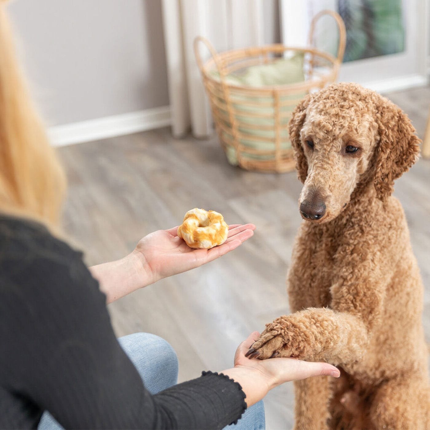 Trixie riestainiai su kolagenu ir vištiena, skanėstas šunims, 2 vnt