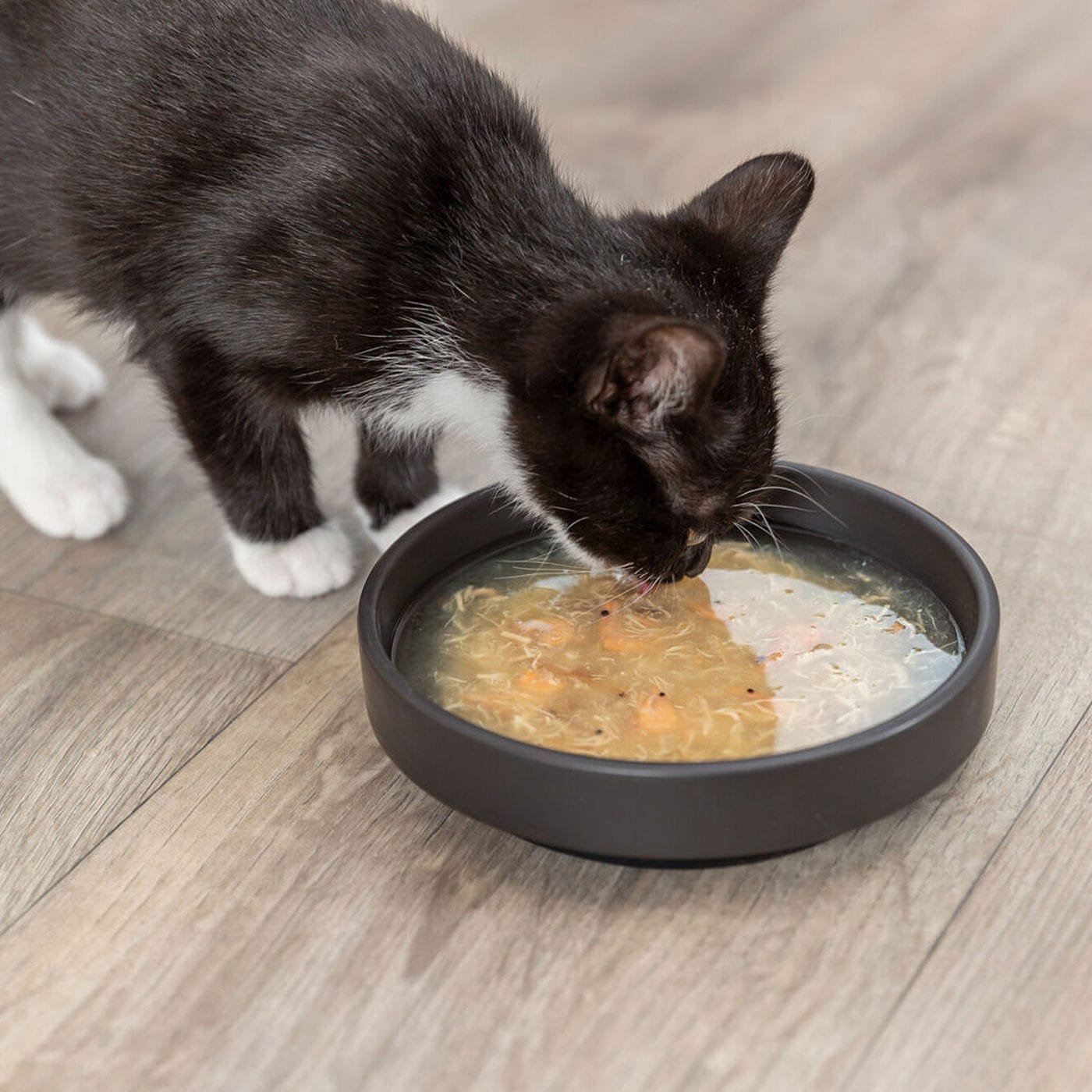 Trixie Salmon sriuba katėms, 80 g