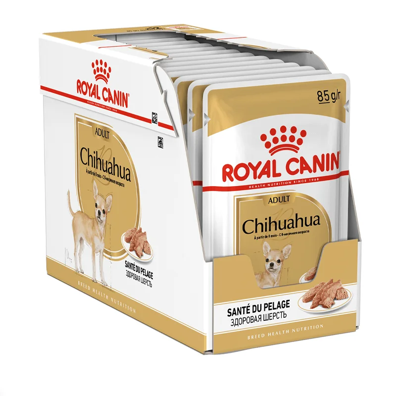 chihuahua slapio maisto lentele