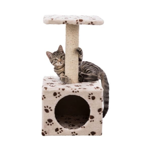 Trixie Junior draskyklė katėms, stulpas su būdele, įv. spalvų, 60 cm
