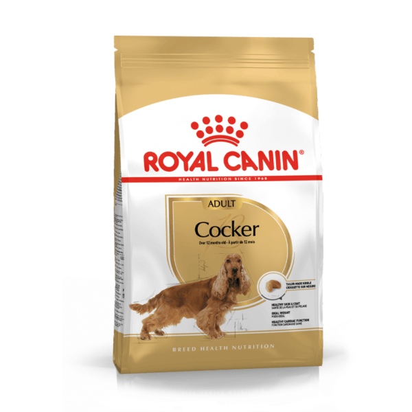 cocker-spaniel