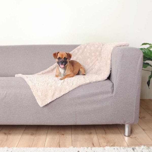 Trixie Cosy pledas, kreminis