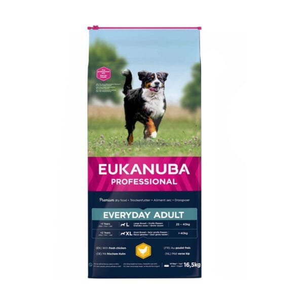 Eukanuba Everyday Adult L/XL Chicken sausas maistas šunims 16.5 kg