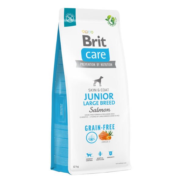 Brit Care Junior Large Breed Salmon kuivtoit koertele