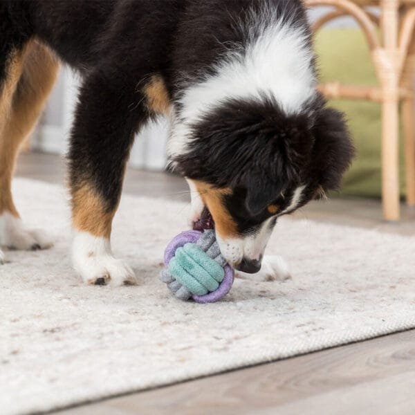 Trixie Junior žaislas šunims virvinis kamuolys, pilkas su mėtine ir violetine spalva