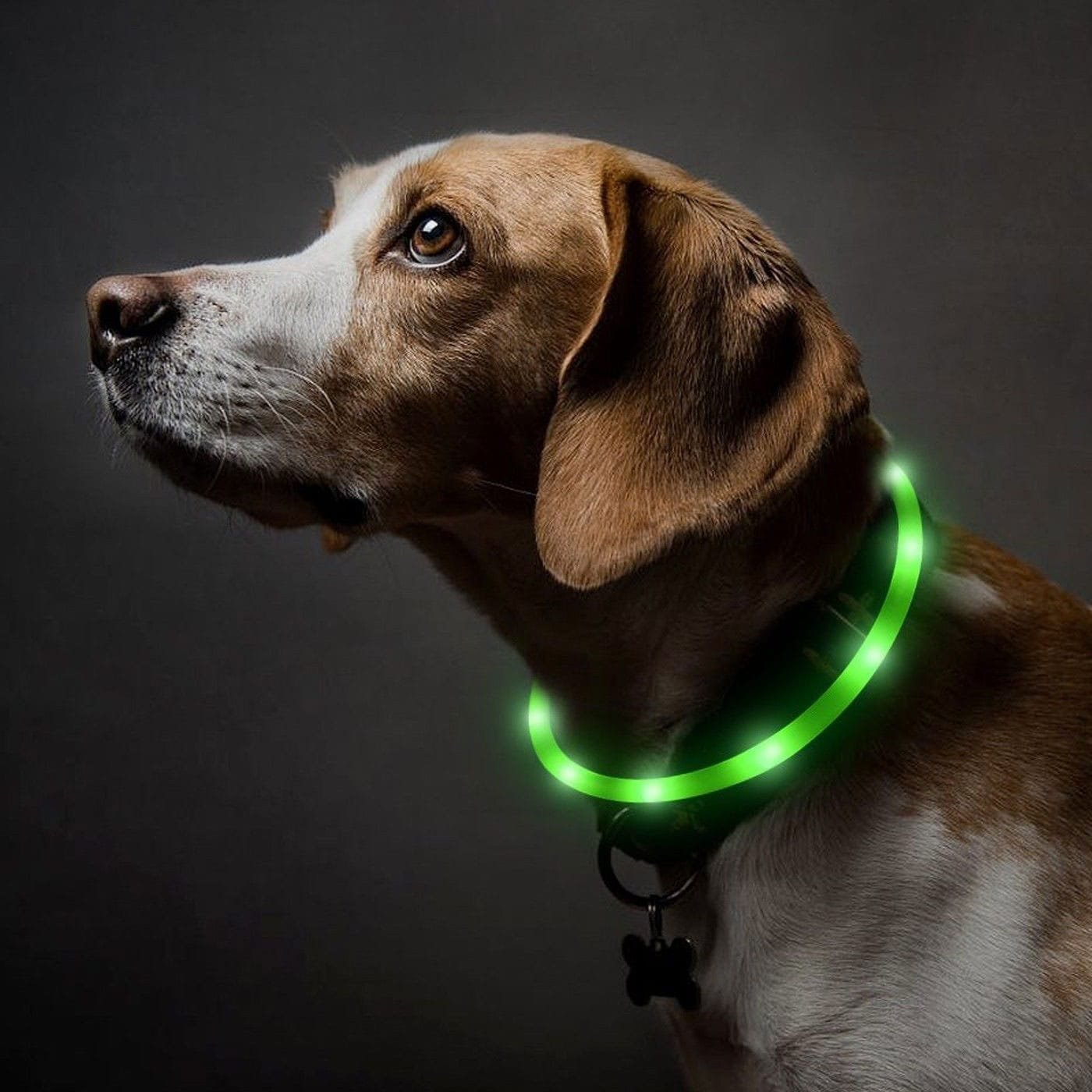 Trixie LED tamsoje šviečiantis antkaklis šunims, nailoninis, įv. dydžių, žalias