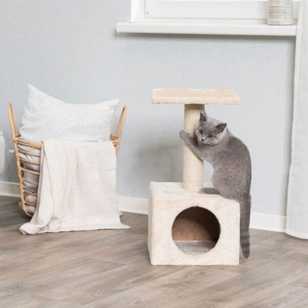 Trixie Junior draskyklė katėms, stulpas su būdele, įv. spalvų, 60 cm