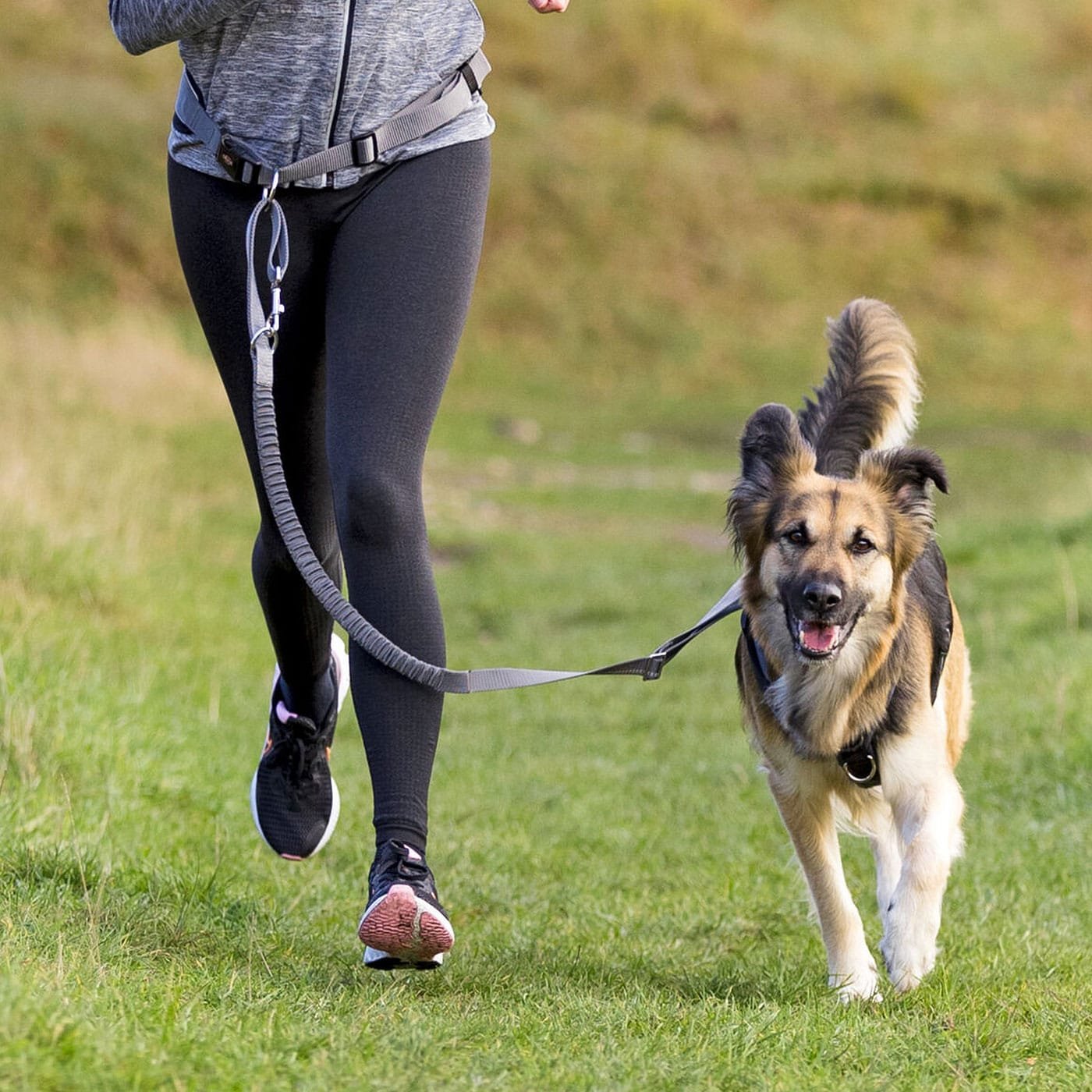 Trixie juosmens diržas šeimininkui su pavadėliu šuniui - bėgiojimui, šiaurietiškam ėjimui ir kt., M-L dydžio, pilkas