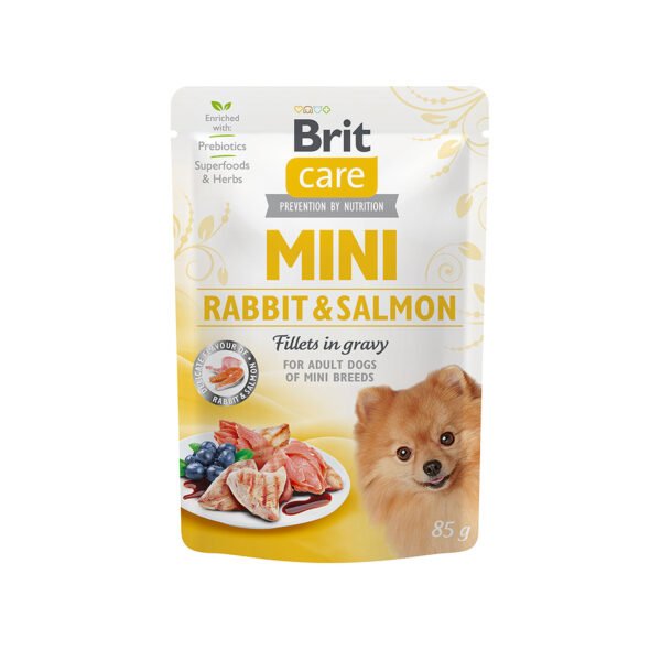 Brit Care Mini Rabbit & Salmon konservai šunims