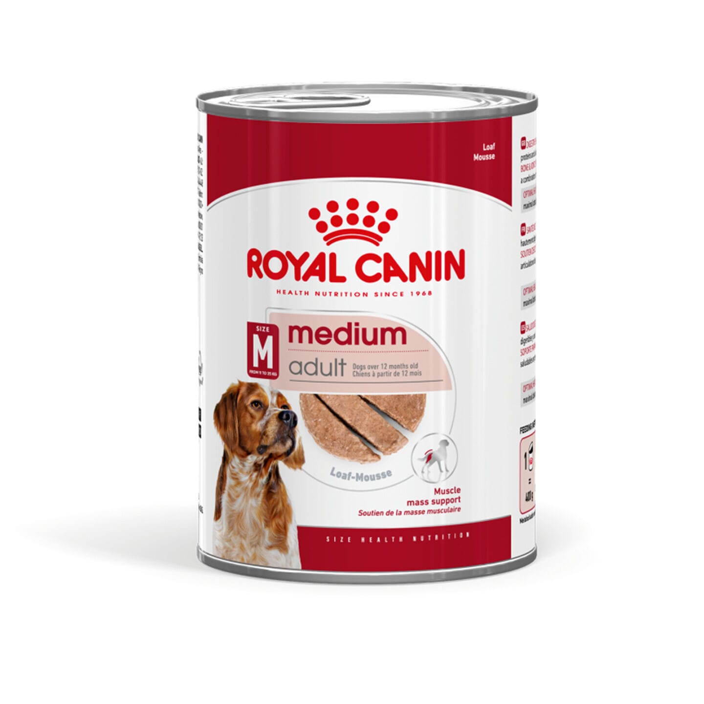 Royal Canin Medium Adult paštetas šunims