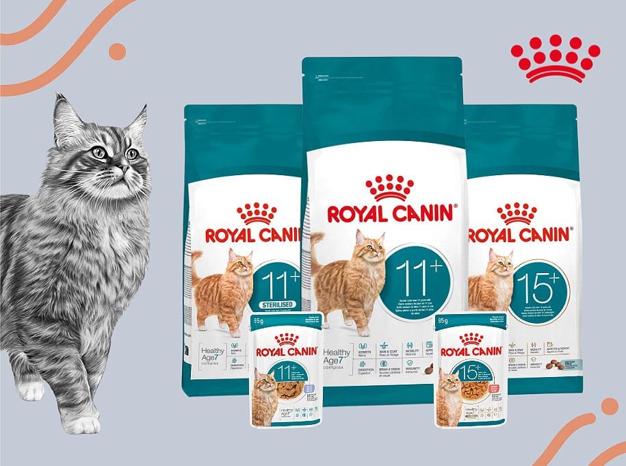 Naujiena! Ageing linija sveikai senatvei. Atraskite sausą maistą ir konservus gardžiame padaže arba drebučiuose.