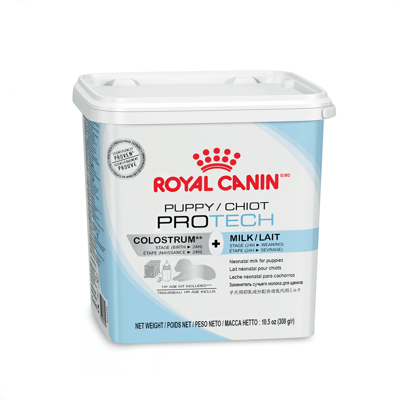 Royal Canin Puppy Pro Tech pieno pakaitalas šuniukams 300 g