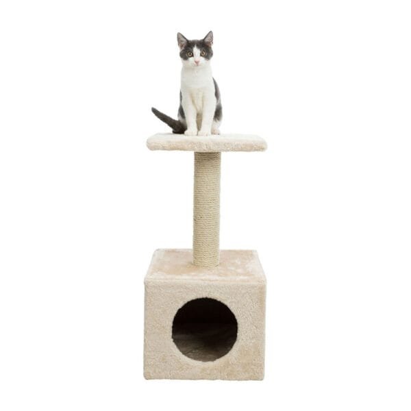 Trixie Junior draskyklė katėms, stulpas su būdele, įv. spalvų, 60 cm