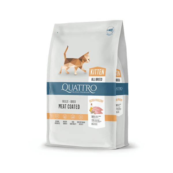 Quattro Kitten kuivtoit kassipoegadele 1,5 kg