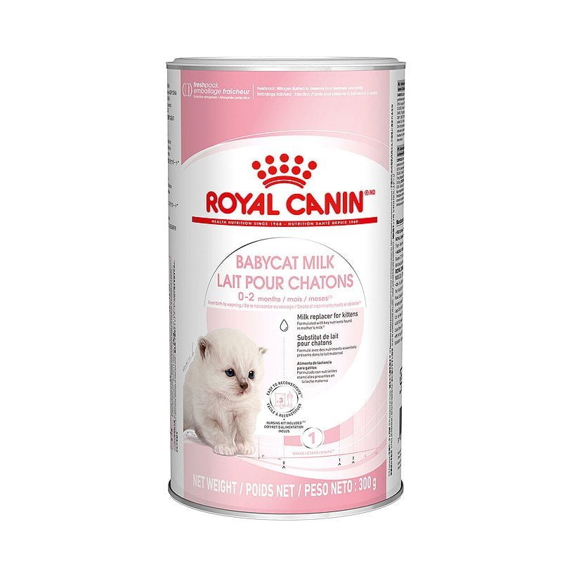 Royal Canin Babycat Milk pieno pakaitalas kačiukams 300 g