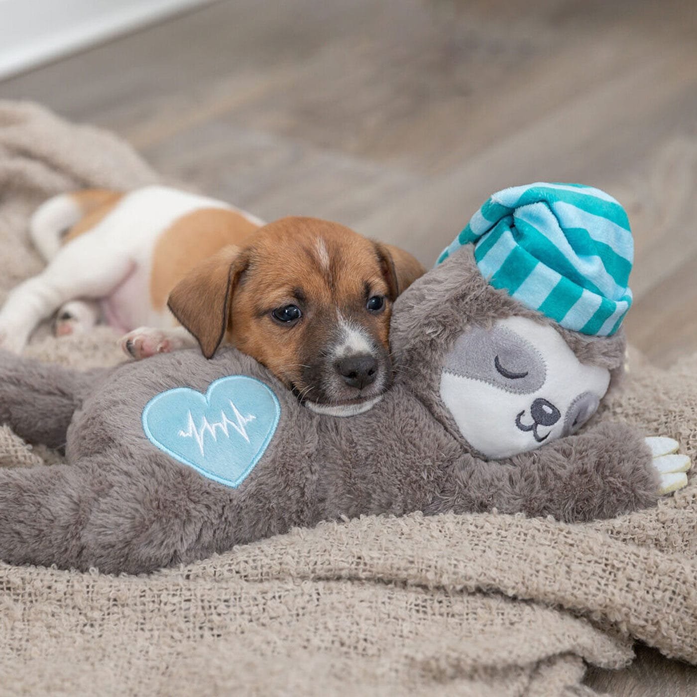 Trixie Junior pliušinis žaislas šuniukams tinginys, su imitaciniu širdies plakimu, veikia raminančiai ir padeda užmigti