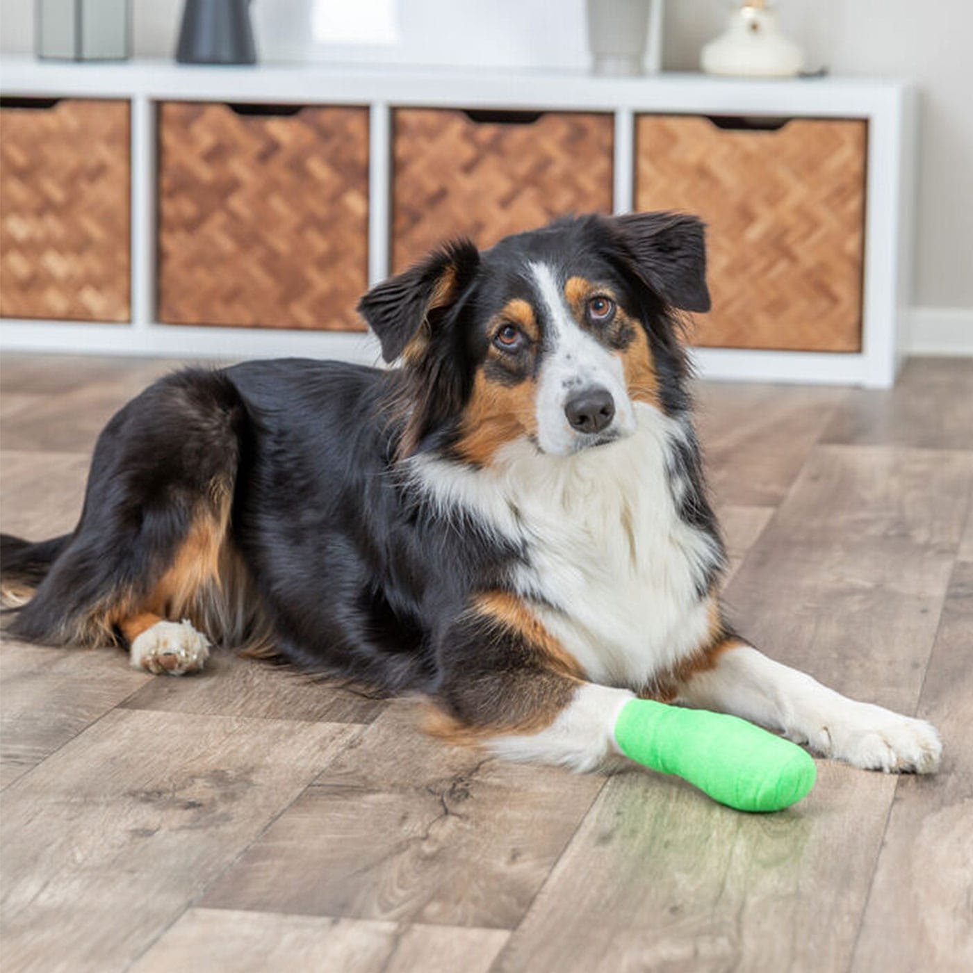 Trixie savaime lipnus tvarstis, su karčia medžiaga, 4 vnt, įv. spalvų