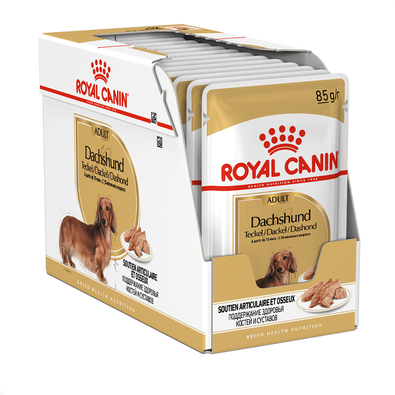 Royal Canin Dachshund Adult konservai