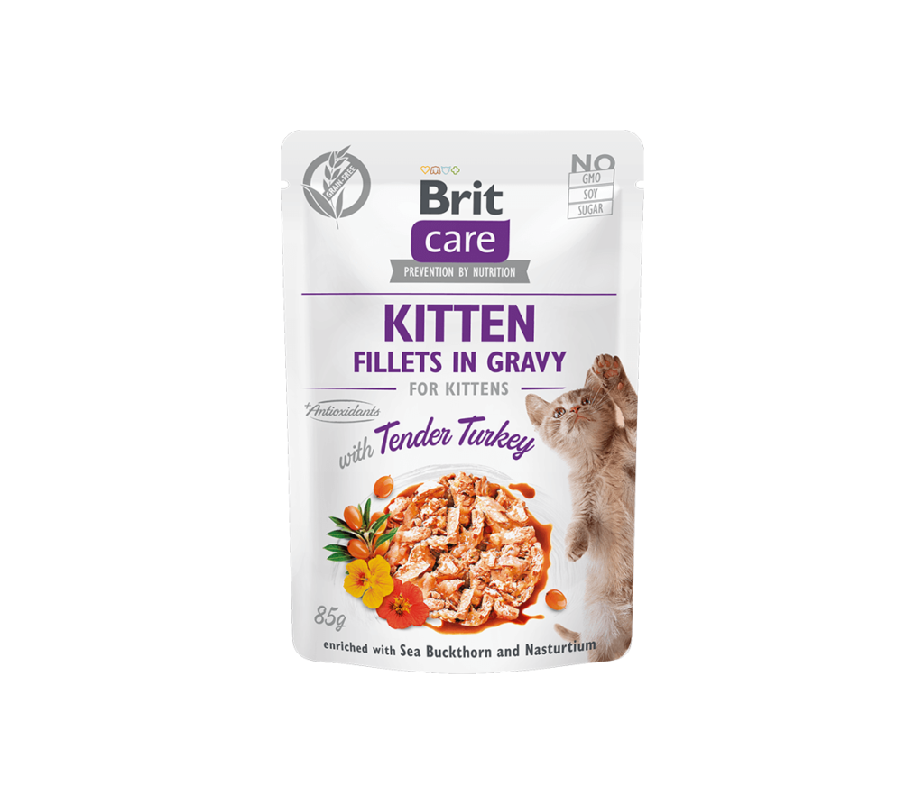 Brit Care Kitten Tender Turkey konservai kačiukams padaže