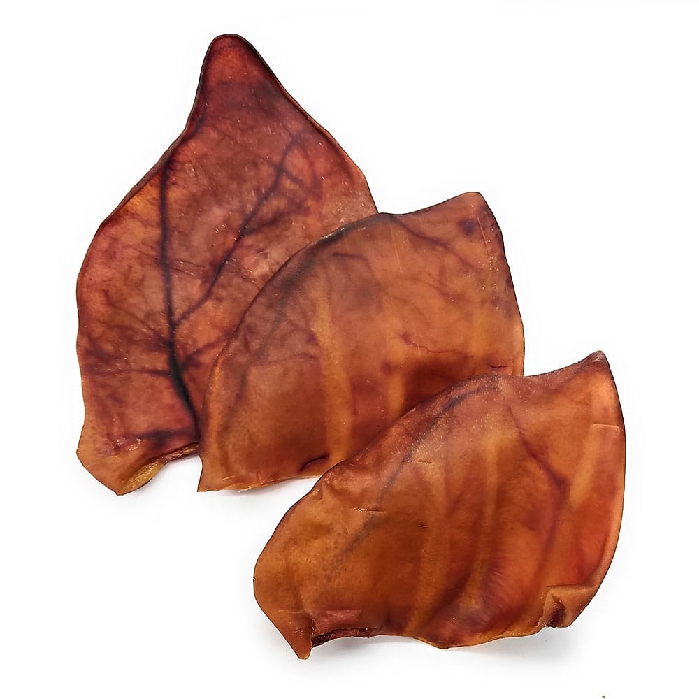 Real Dog natūralios džiovintos kiaulės ausys, skanėstas šunims, 3 vnt